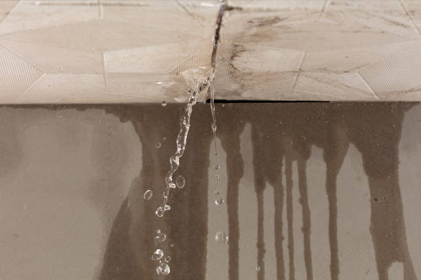 Professional Structural Drying technician working in Franklin, WI